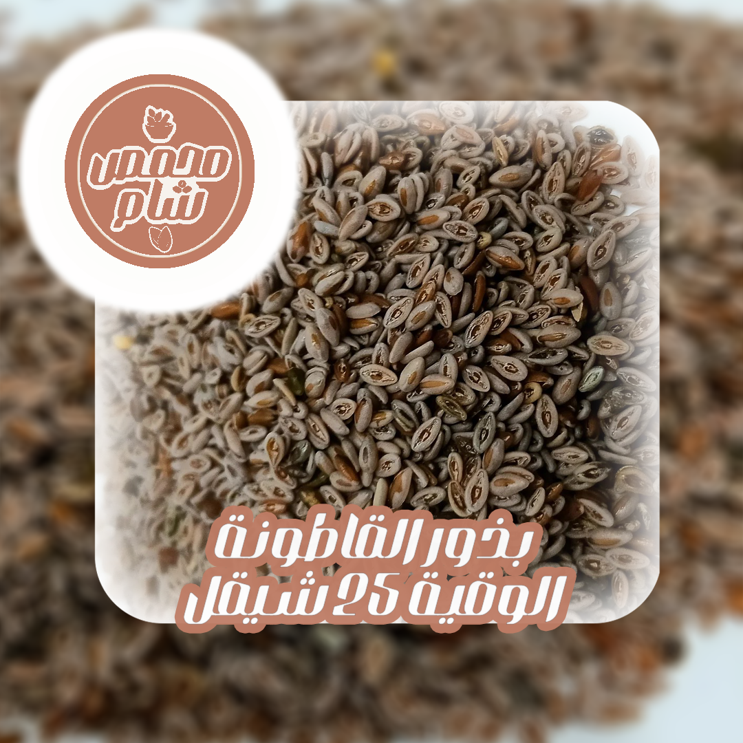 بذور القاطونة