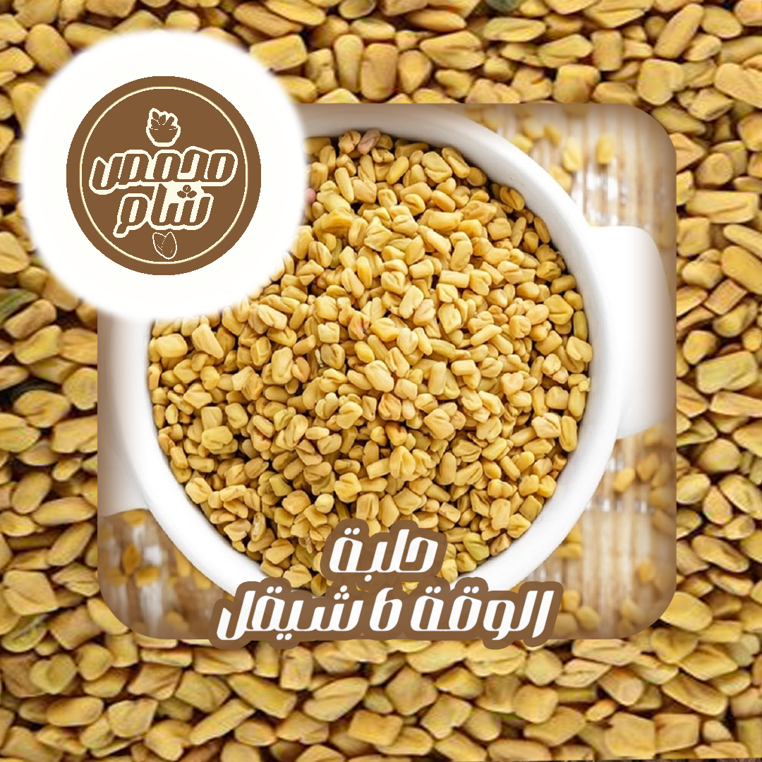 حلبة